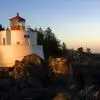 本公子少爷