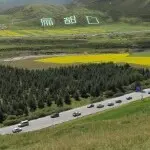 蓝色的海f