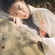 飞凤999