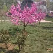 o(∩_∩)o看看