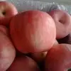 □℡总裁e