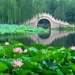 雅士...