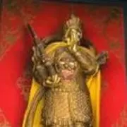 我想我是风88
