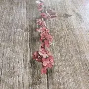 喜哥$$$