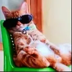 小曲走你