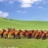 坐在窗前看人流