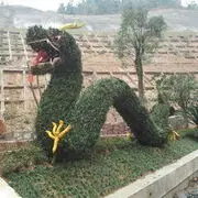 @蓝色光@
