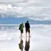 尼克杨