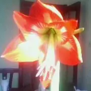 微信_3756385