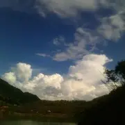 野兔🇨🇳