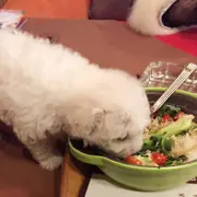 江北十三郎