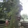 一笑而过u4