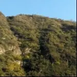 昵称违规，请重新修改