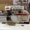 【鸽】走进梦想