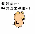 缘来缘去缘在何方的主播照片