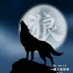 ☜舞夜☞狼道