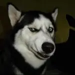 ゞ双鱼座.咖啡