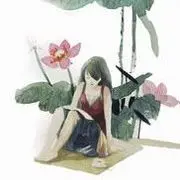 永不调谢的莲花