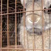 我的一生灿烂
