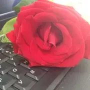 哇咔咔88