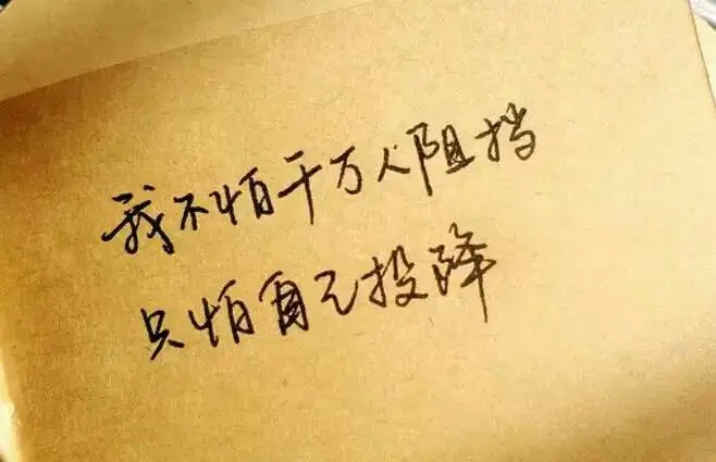 青妞n的主播照片