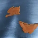 か敏✘＊Bom