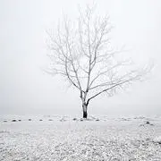 ヾ似梦非夢