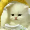 水边r