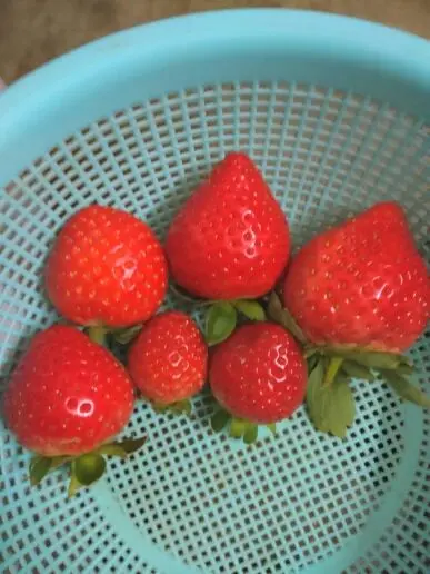 为梦而飞舞的主播照片