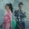 叶儿---腾飞