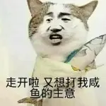 走开，别抢我咸鱼
