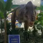 潇洒一回走
