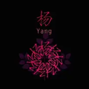 🇨🇳杨公子💨