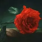 善良的存在