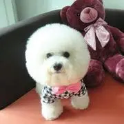 Me灬煎蛋