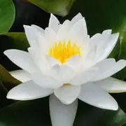 无法无名