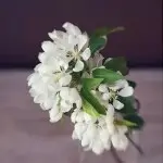 思忆･❀●•♪