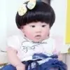 沧州小枣