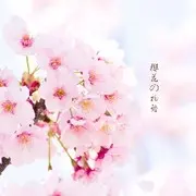 ╰❤神❤無嗳