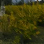梦中~起飞