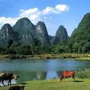 阿贵水哥