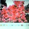 回想5$