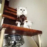 我是源源同学