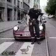 财哥;