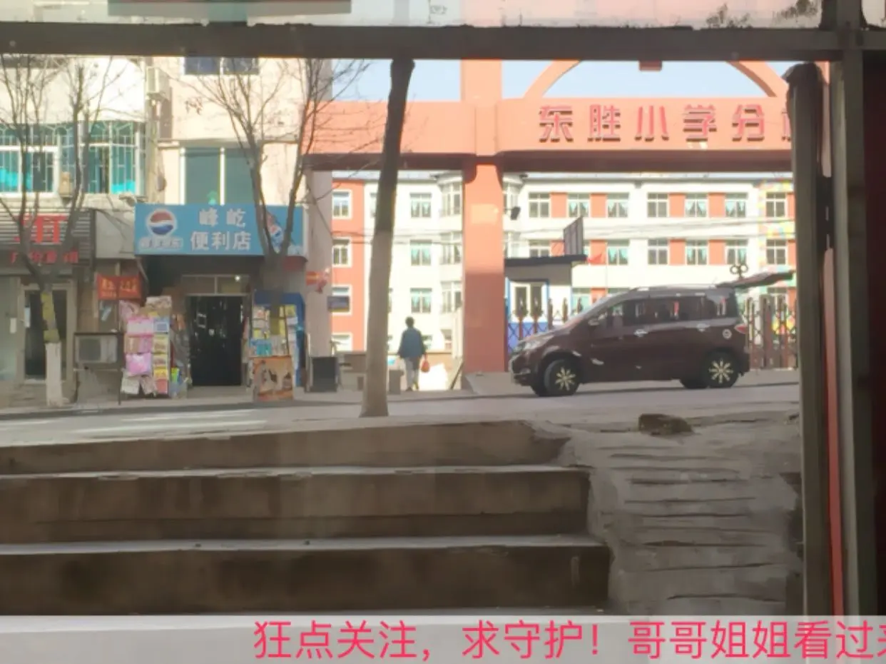东北王梅的主播照片