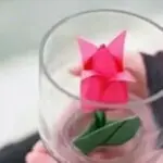 微信_6034038