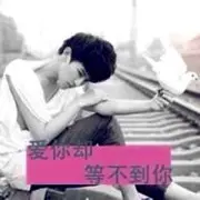 826777zhen