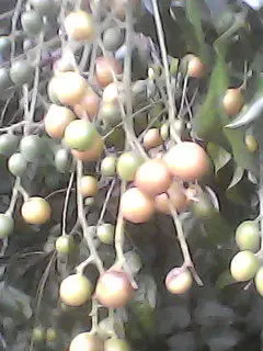 水寒@的图片