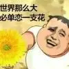 ǒ╭路人╮甲