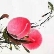 微信_1510159